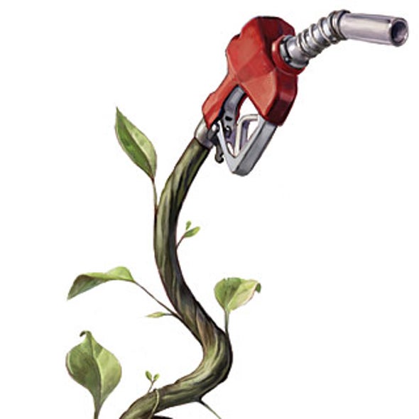 Biofuel