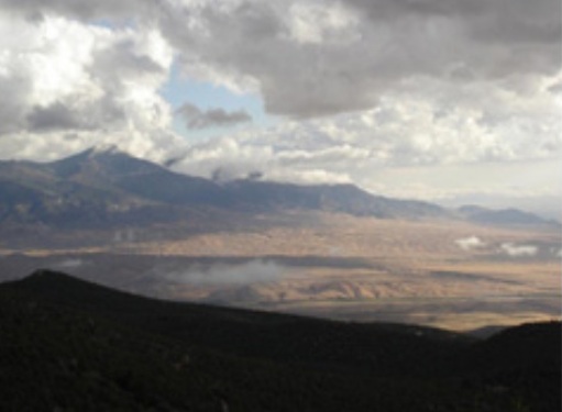 Coronavirus and Social Responsibilities