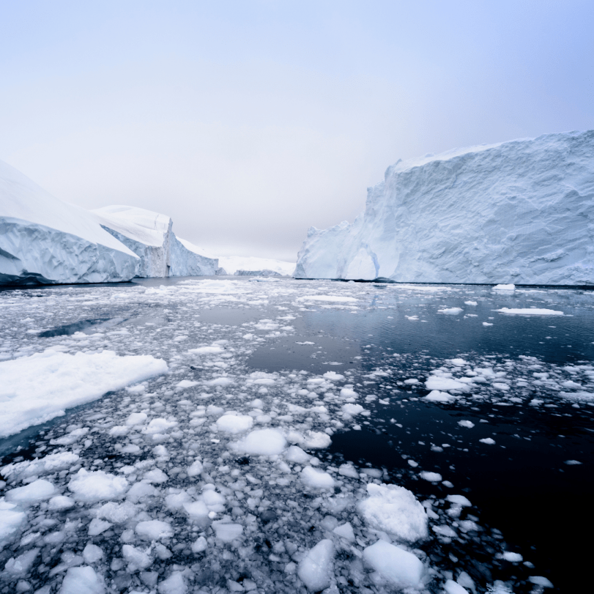 The Arctic’s last ice&nbsp;area