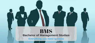 Course Description: Bachelor of Management&nbsp;Studies