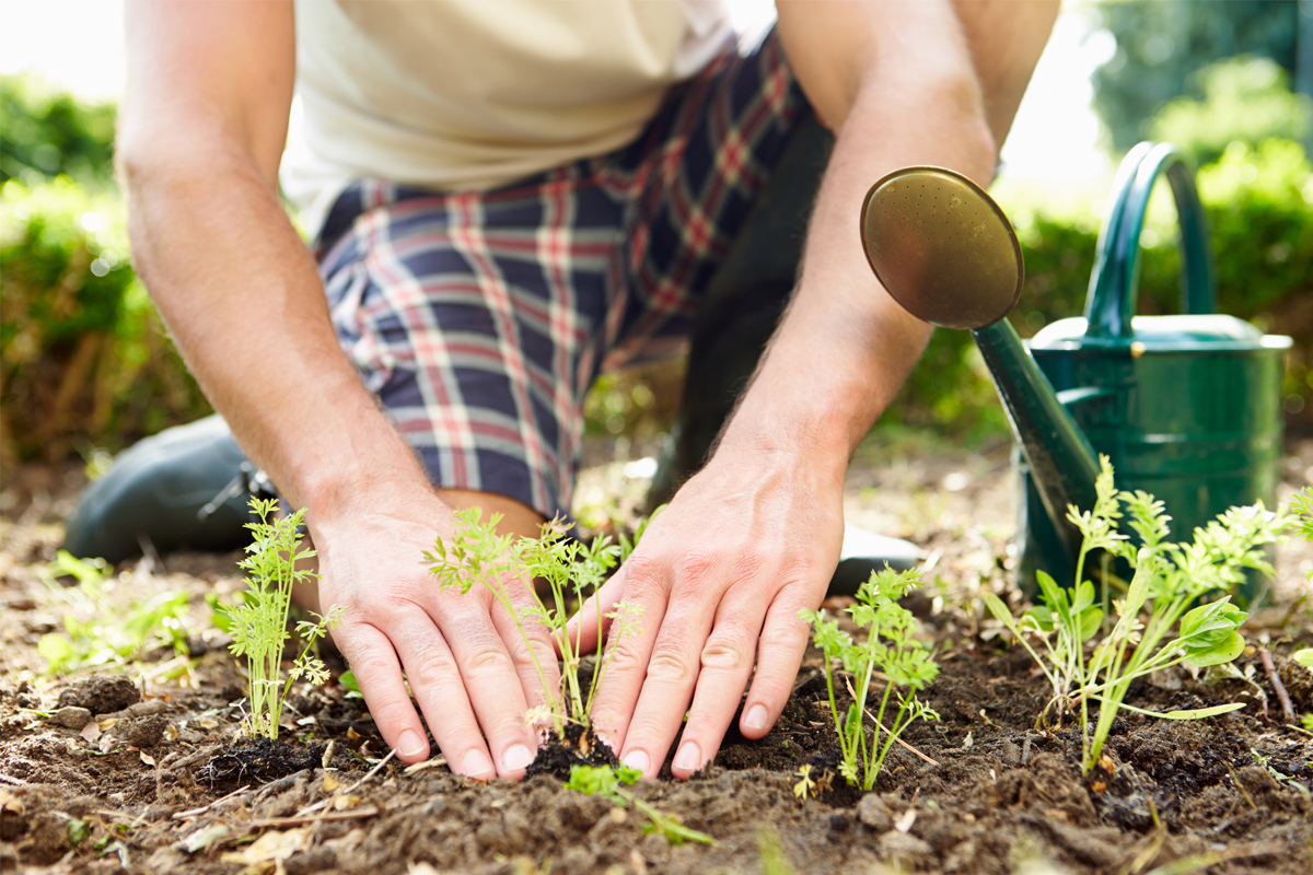10 Amazing Tips For Terrace Gardening – Eduindex