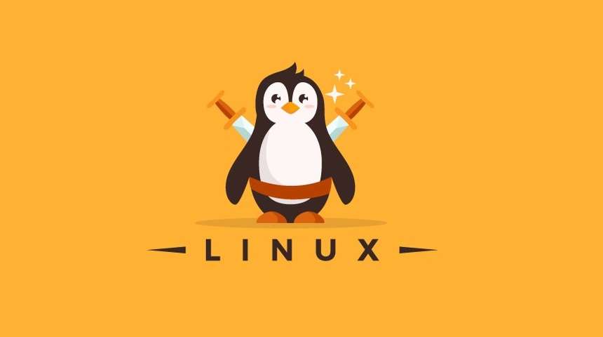 LINUX