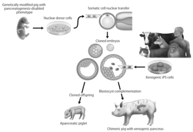 If you like it, wear&nbsp;it.