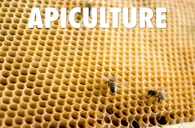 Simple Ways to Relieve&nbsp;Stress