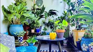 Monsoon: An Upstanding and Suitable season to start&nbsp;gardening