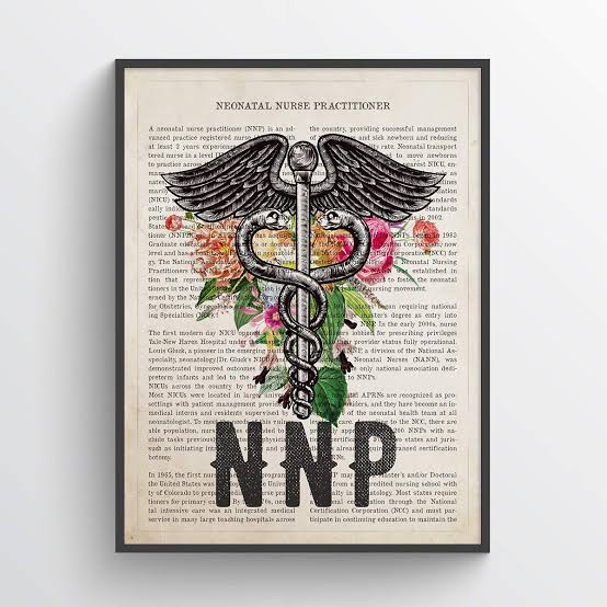 Emotional intelligence-concepts, and their utilities and application in administration and&nbsp;governance