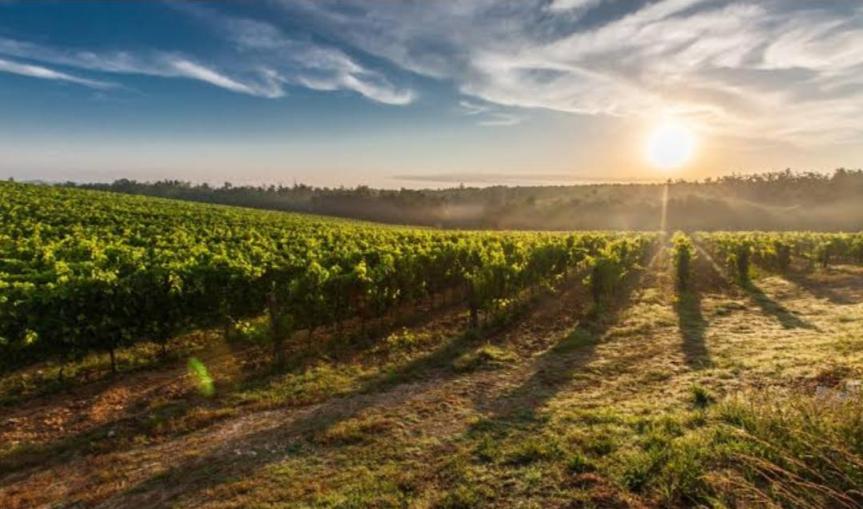 Land Reforms in&nbsp;India