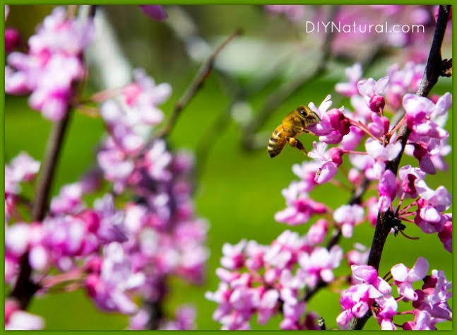 5 Best Food Places to visit in Hyderabad, in the Rainy&nbsp;Season