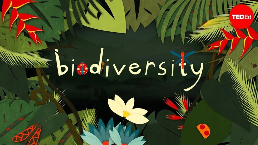 Biodiversity In India