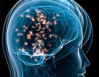 Hormones That Makes Us&nbsp;Happy