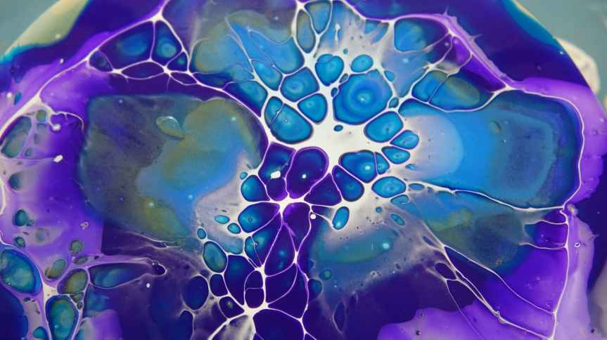 Your True Potential&nbsp;Awaits