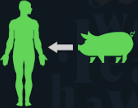 What is Xenotransplantation?