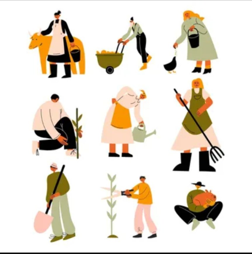 The increasing popularity of homegrown&nbsp;brands