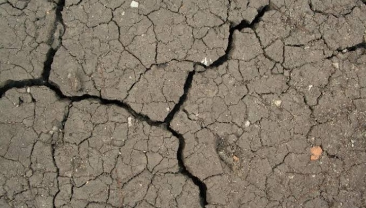 Disrupt, Divide, and&nbsp;Develop