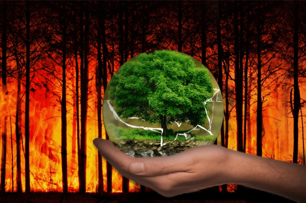 How to Reduce your Emissions by Using Carbon Footprint Calculator