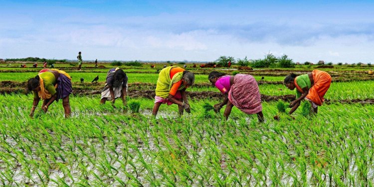 An Analysis of Feminization of&nbsp;Agriculture