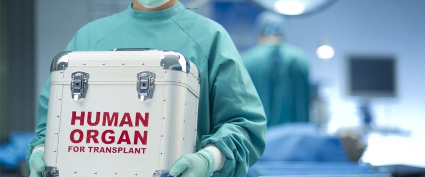 The Power of Organ Transplantation to Save&nbsp;Life’s
