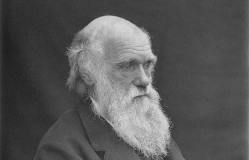 Theories of Evolution –&nbsp;Darwinism