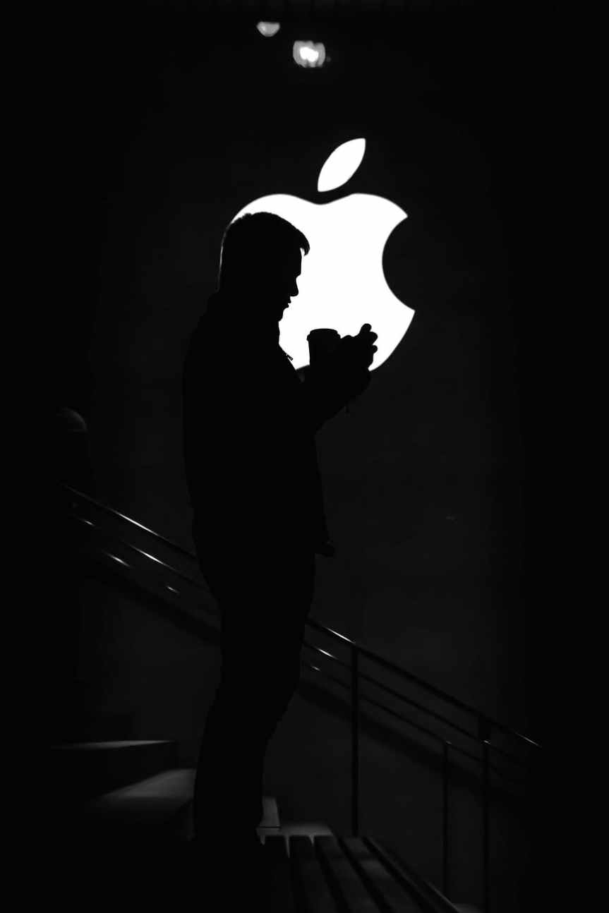 STEVE JOBS BY WALTER ISAAC-&nbsp;OVERVIEW