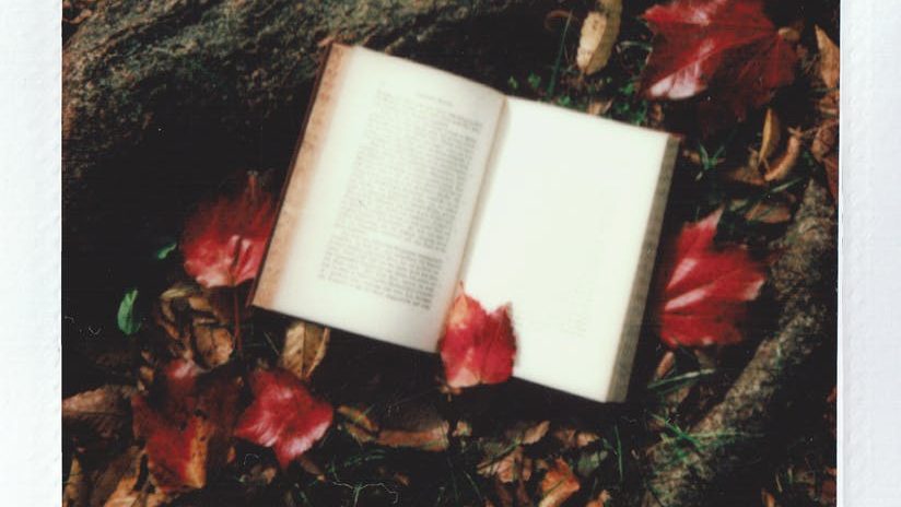 Top 5 books to read at least once in your life. This is an image of Top 5 books to read at least once in your life.