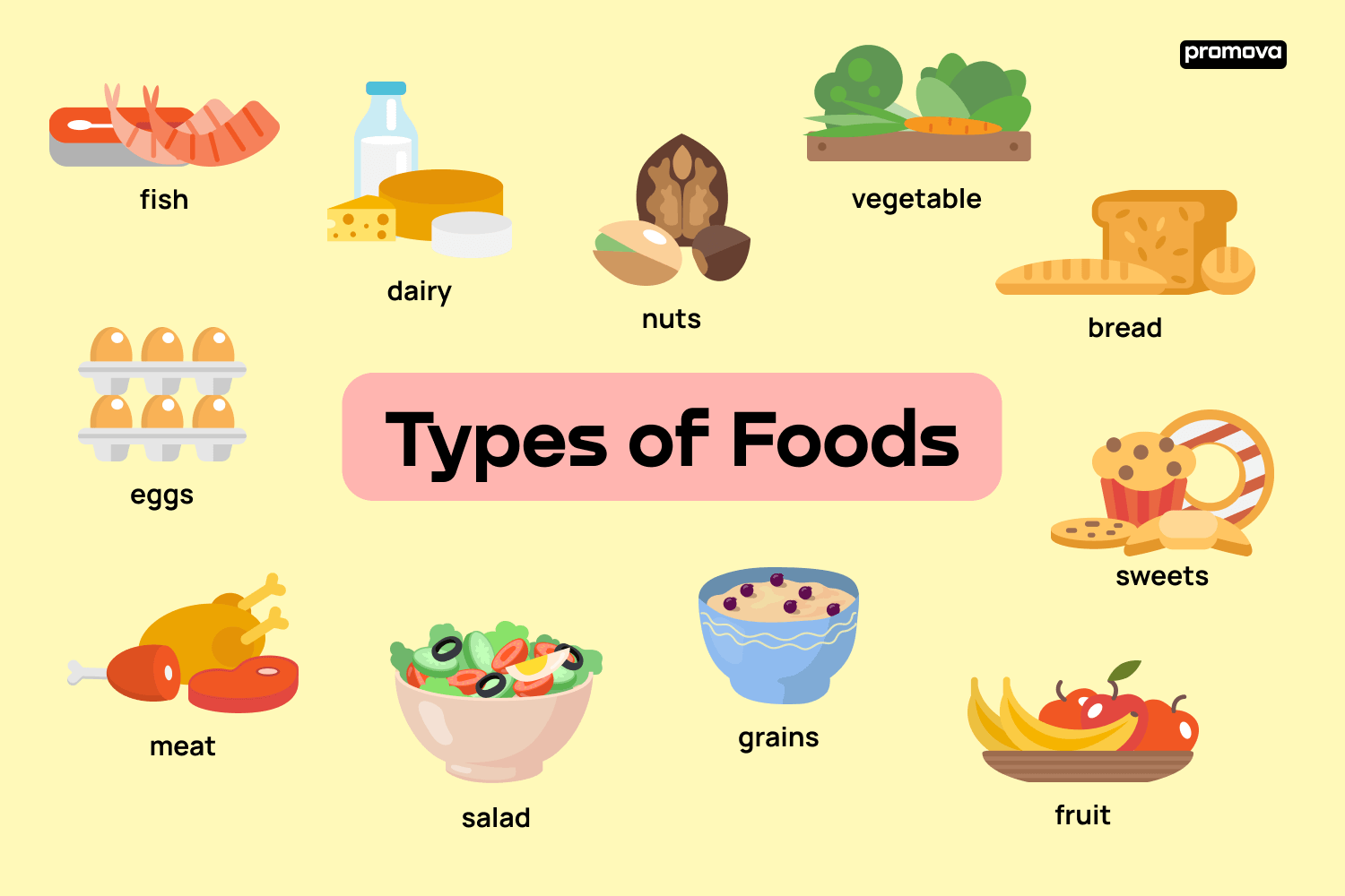 Types of Foods: A Detailed Overview – Eduindex